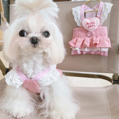 Breathable Denim Dog Dress with Leash for Small Breeds